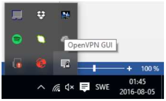 Windows Guide Open VPN icon